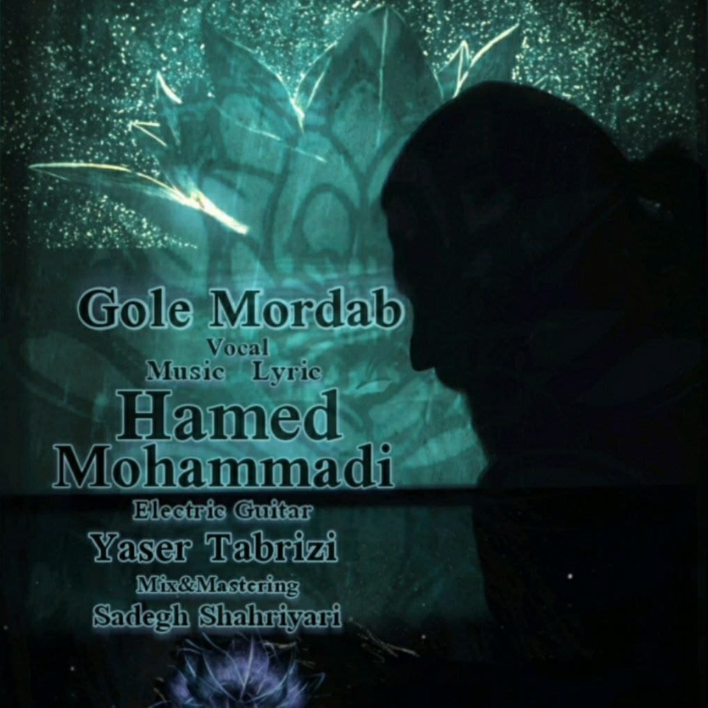 دانلود آهنگ حامد محمدی گل مرداب